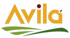 logo-avilah